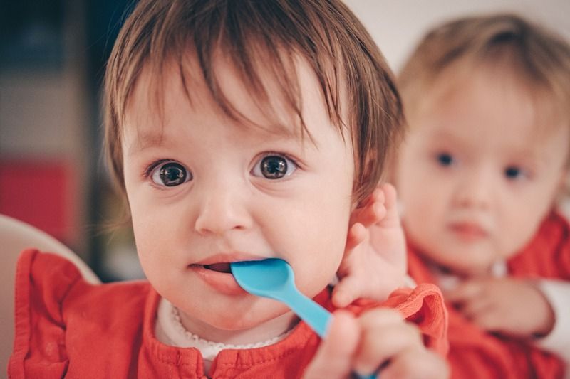 Campagne majeure de financement pour la Banque alimentaire Memphrémagog